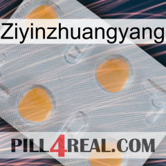 Ziyinzhuangyang 24
